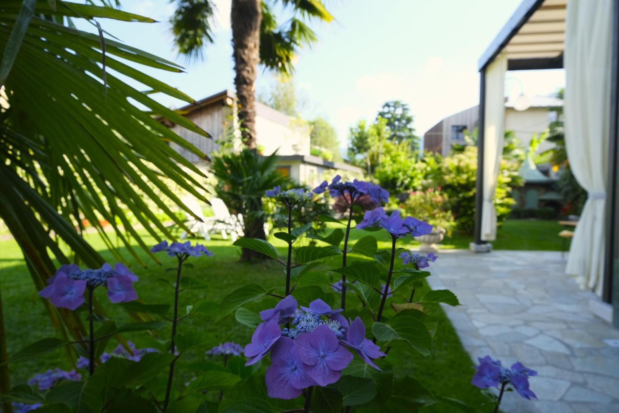 Residenza Laurum แมนเดลโล เดล ลาริโอ ภายนอก รูปภาพ